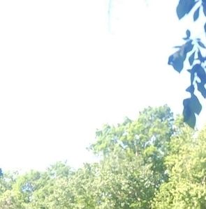 Meet your Posher, Jaycee